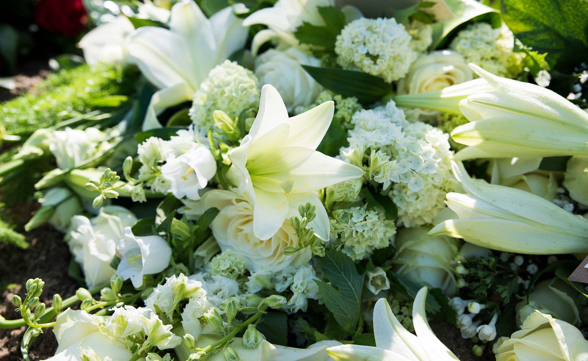 Compassionate Funeral Parlours In Adelaide Mattiske Funerals