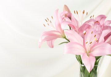 Pink funeral parlour flowers.