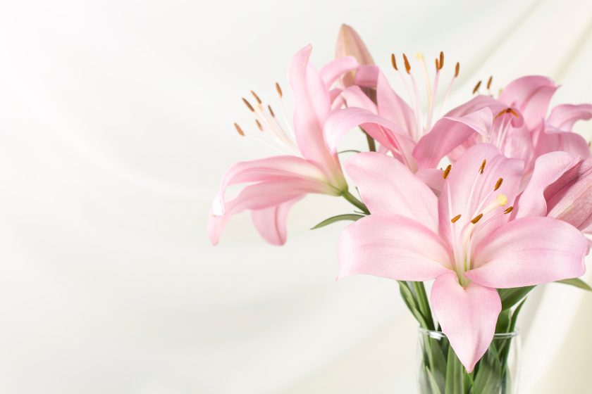 Pink funeral parlour flowers.